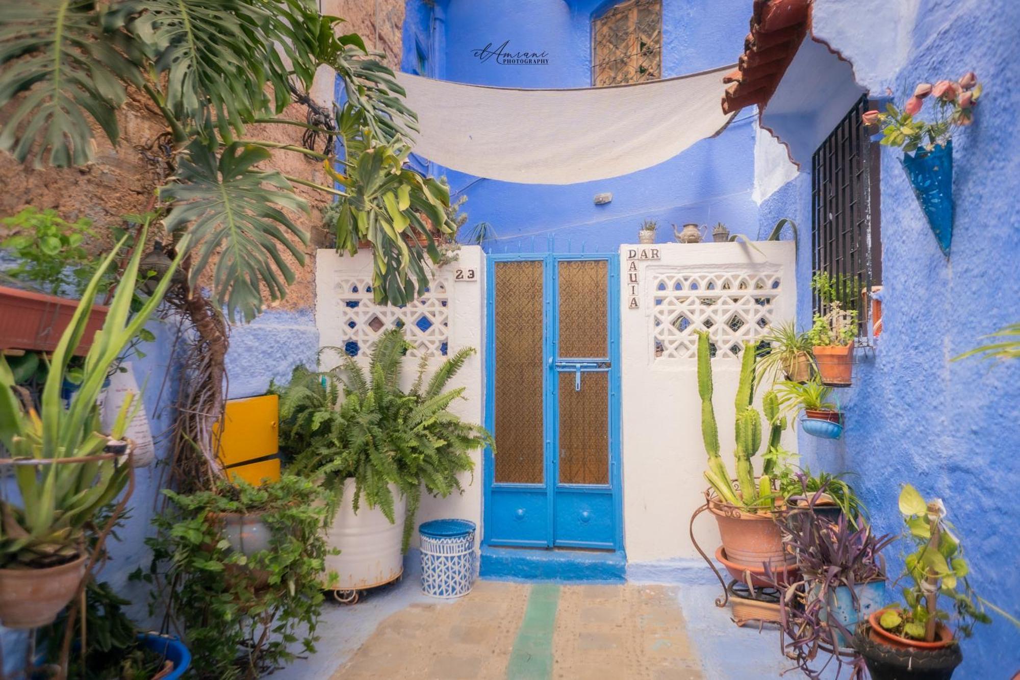 Dar Dauia Lejlighed Chefchaouen Eksteriør billede